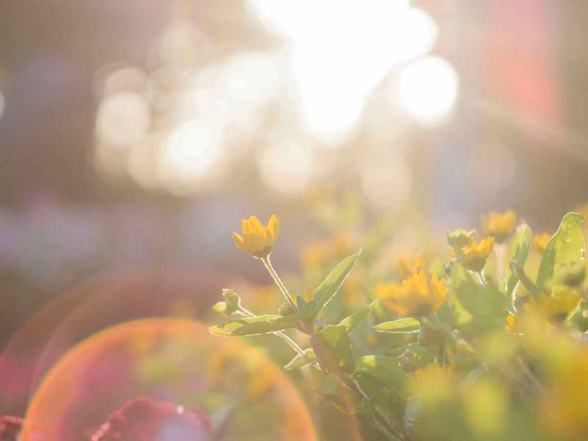 ホーム入居の朝